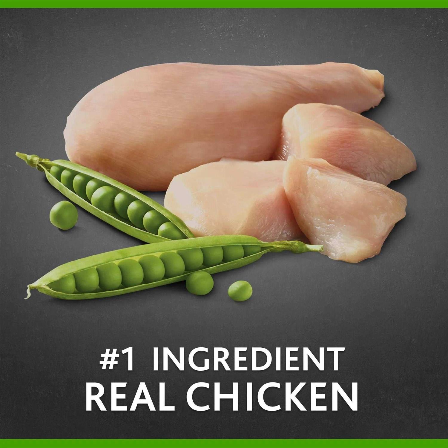 Small Breed Chicken & Pea Recipe Dry Dog Food P118