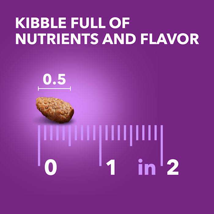 Adult Dry Dog Food with Real Chicken for Healthy Digestion Q9534