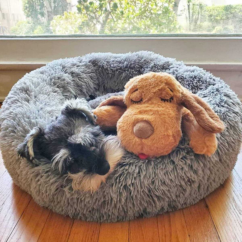 Snuggle Puppy Starter Kit F5534