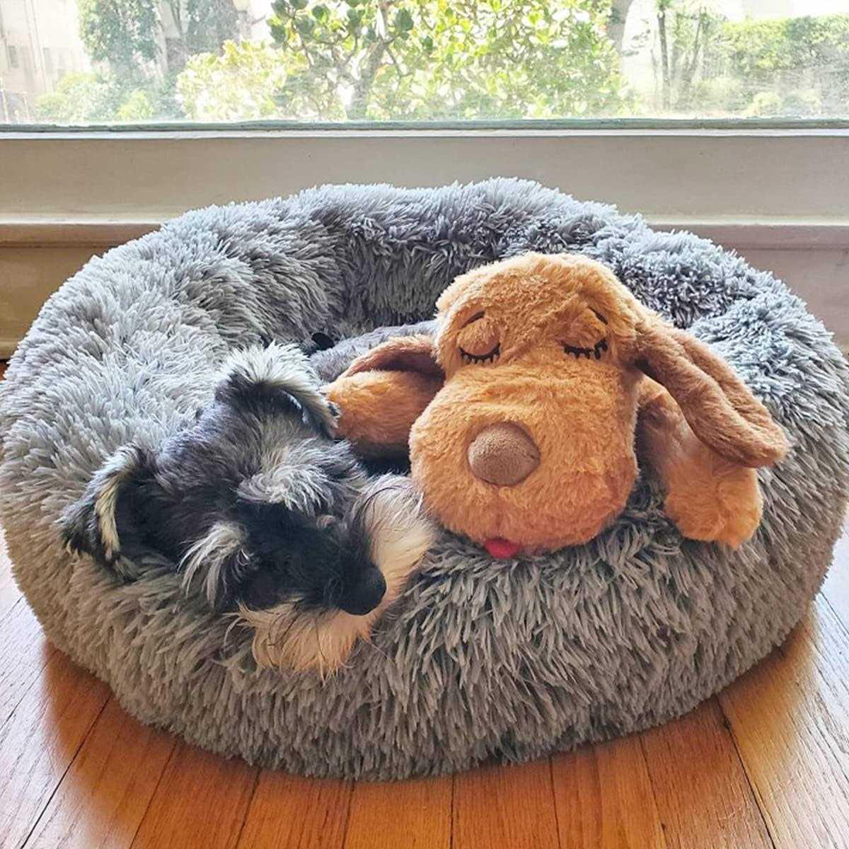 Snuggle Puppy Starter Kit F5534