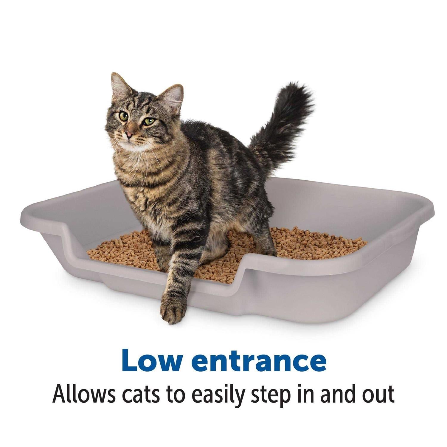 Large Litter Box for Senior Cats with Low Entry - Misty Gray J149317
