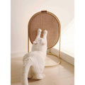 ms!make sure cat scratching post three modes cat scratcher - Pet Supplies online store
