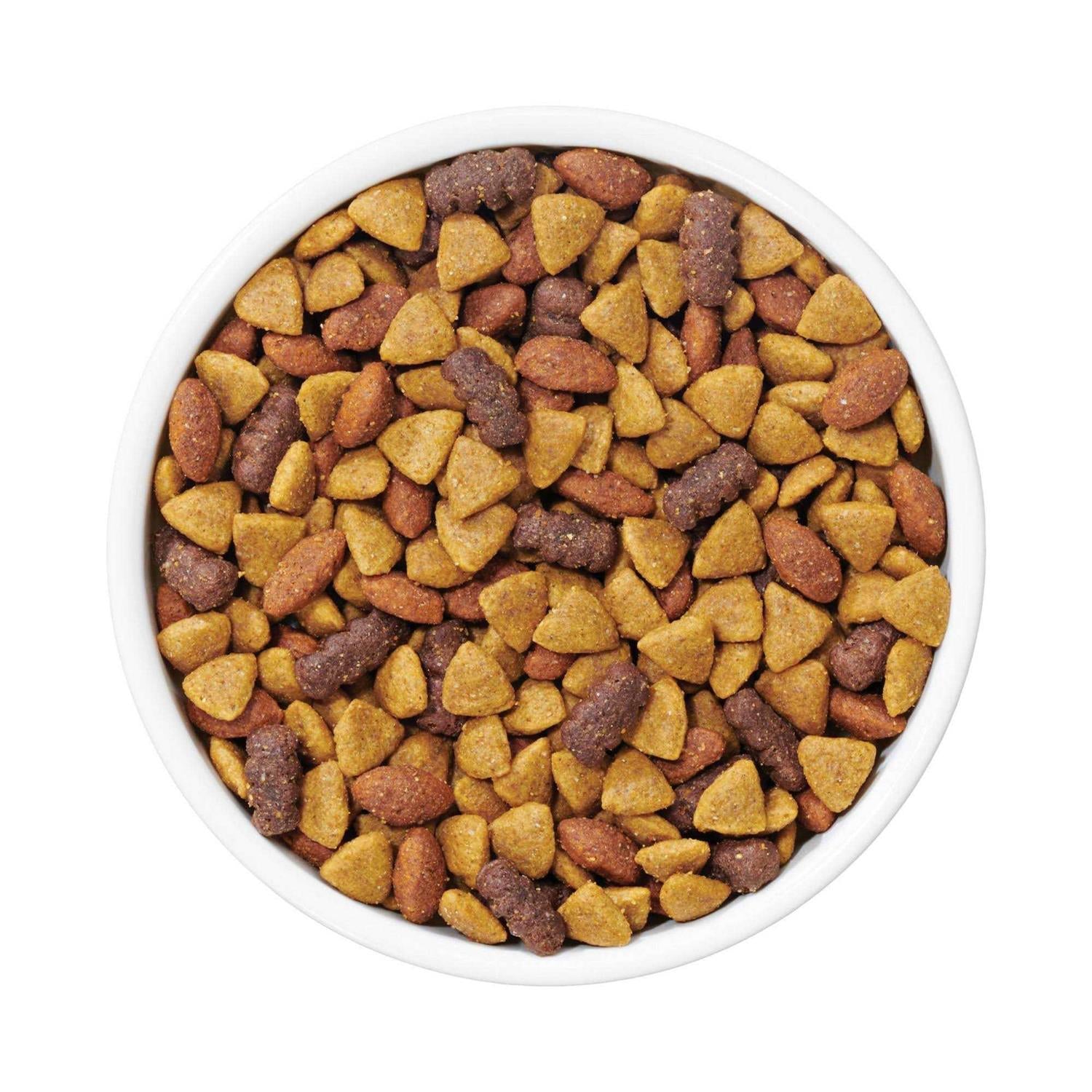 Adult Dry Dog Food B245