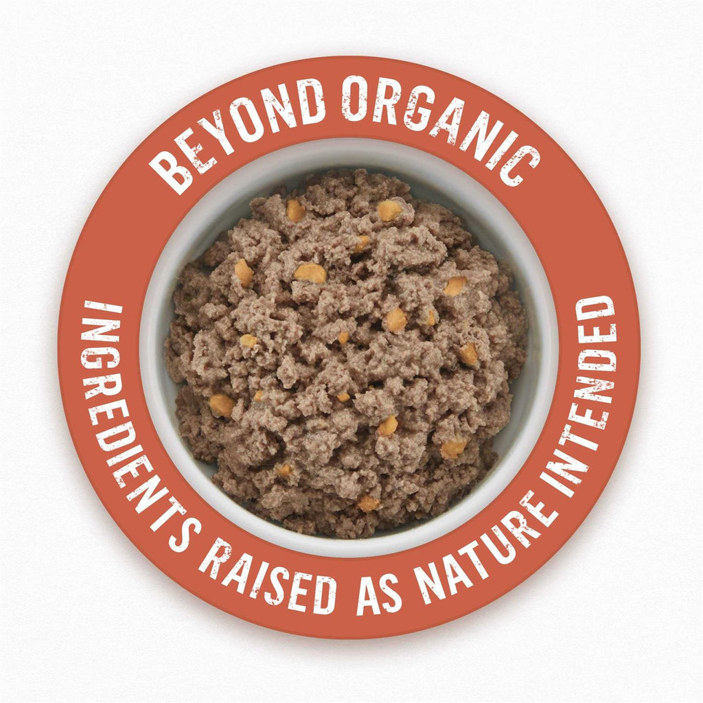 Organic Chicken Recipe Wet Dog Food U118981