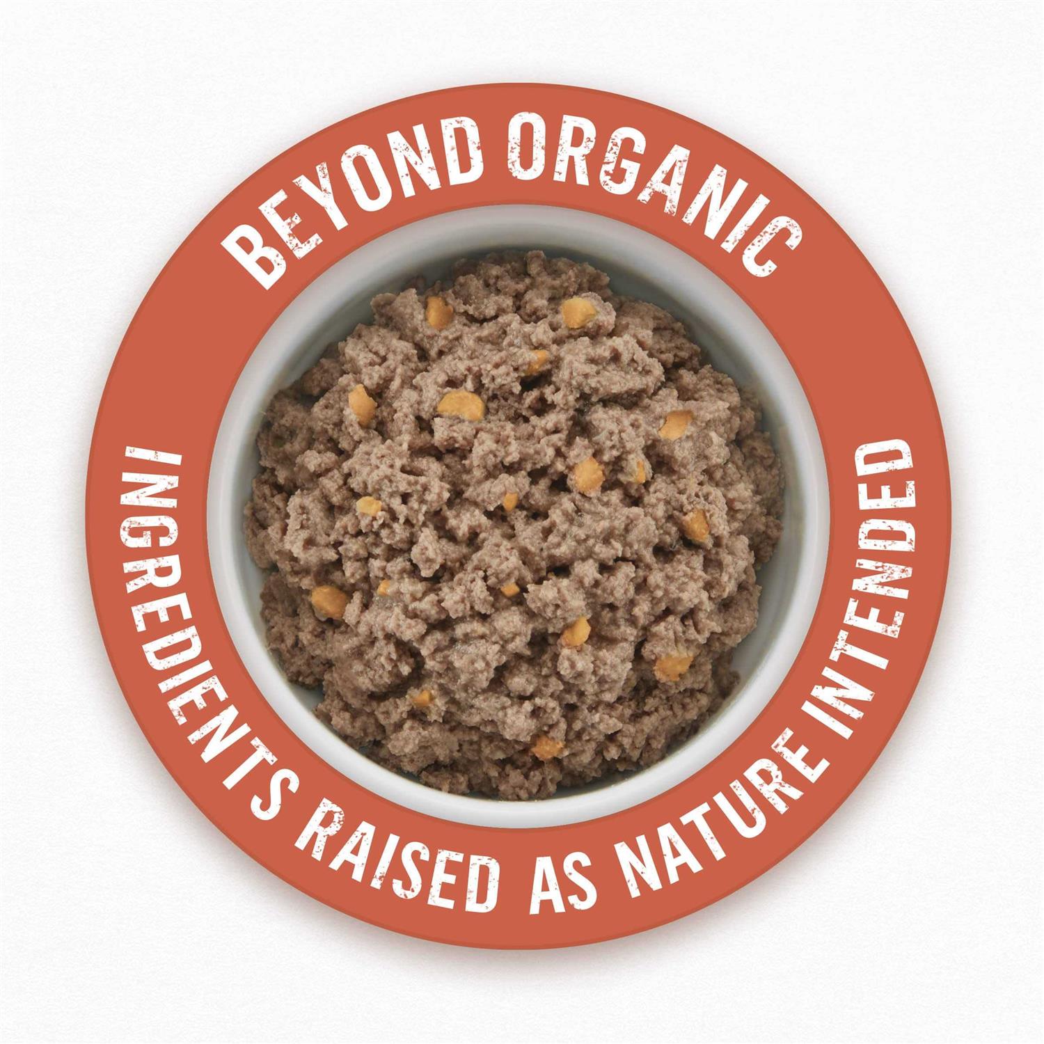 Organic Chicken Recipe Wet Dog Food U118981
