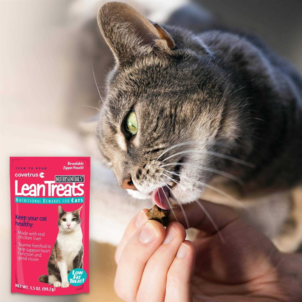 Lean Treats for Cats Soft Cat Treats A639