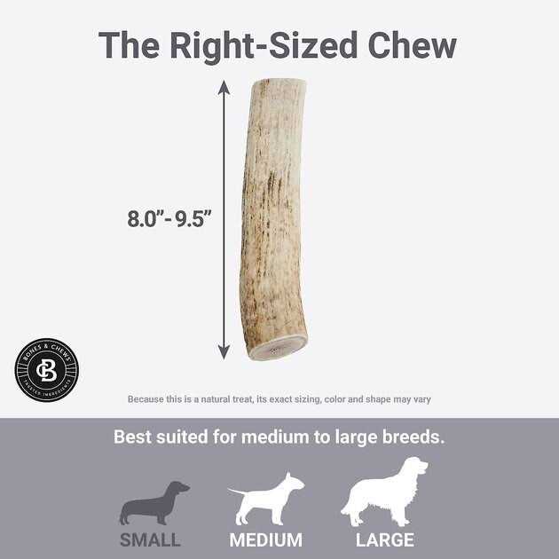 Elk Antler Dog Chew for Pets T89153