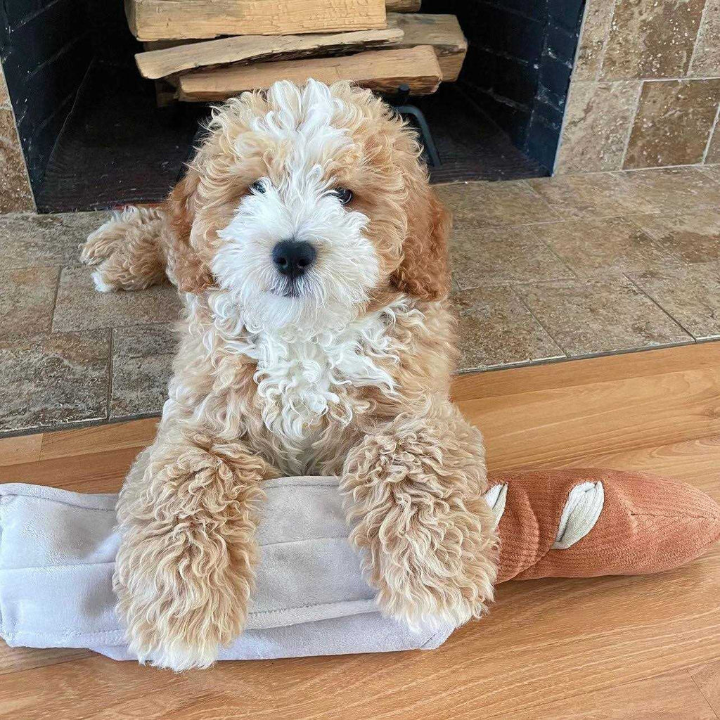 Baguette Enrichment Dog Toy E114847