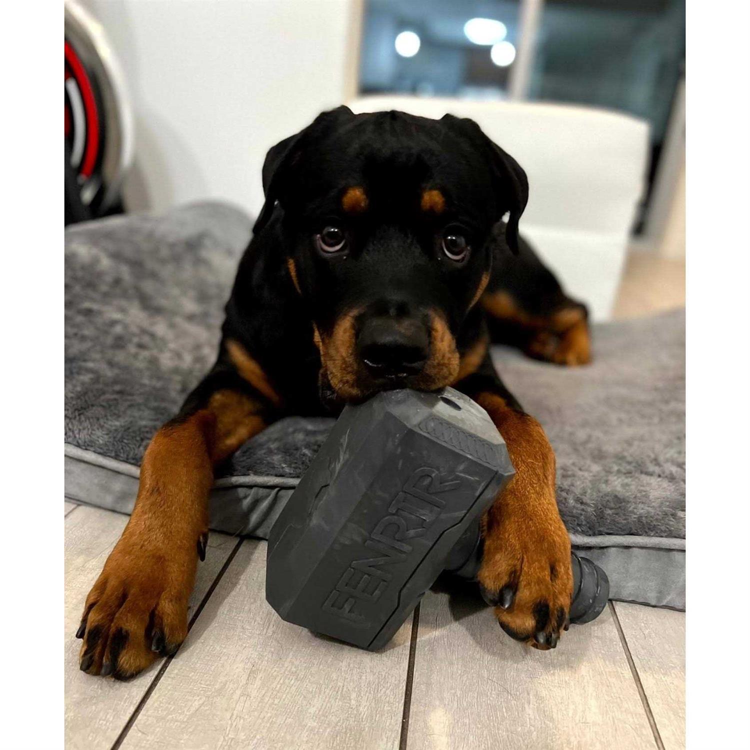 Hammer Chew Toy for Pets D49023