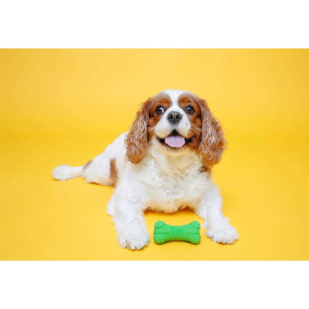 Squeaky Latex Dog Toy Bone W55690