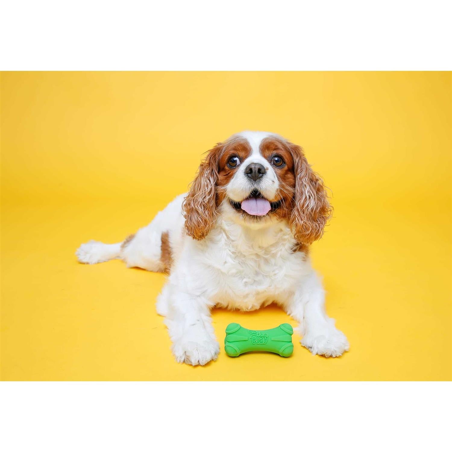 Squeaky Latex Dog Toy Bone W55690