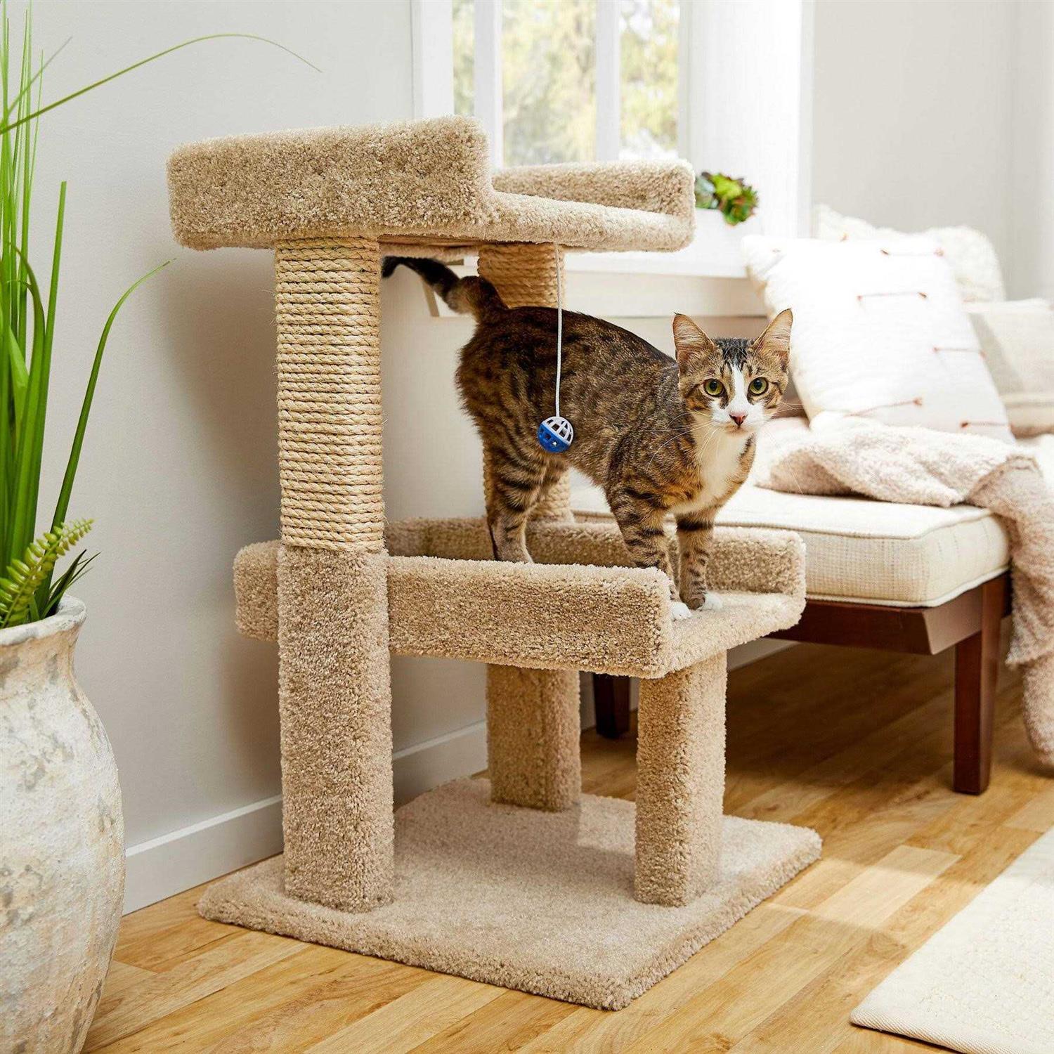 Wooden Cat Tree with Toy W633084