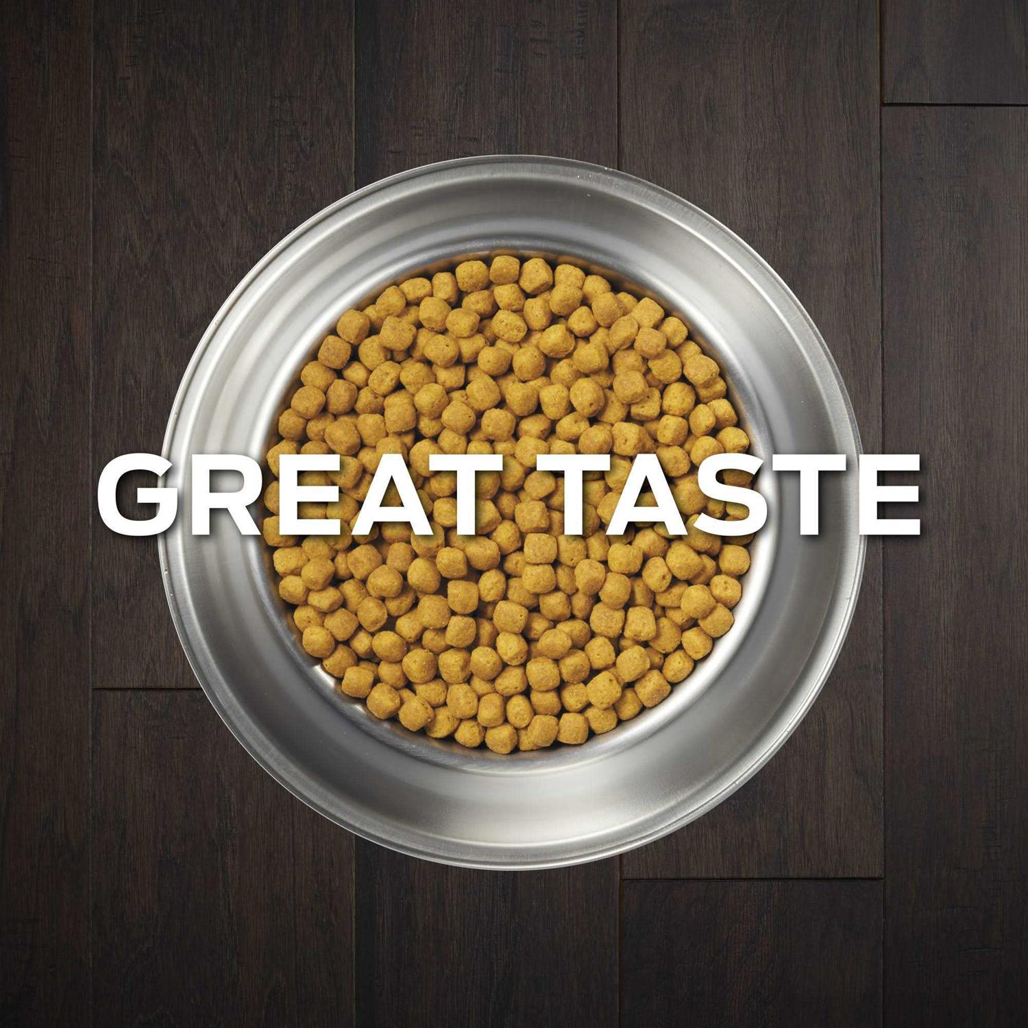 Gastroenteric Formula Dry Dog Food G92453