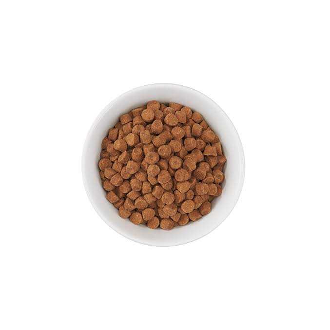 Turkey Light Dry Cat Food P882019