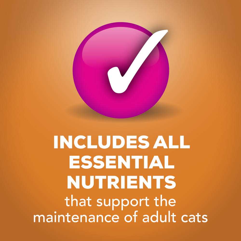 Indoor Chicken Pate Canned Cat Food U42301