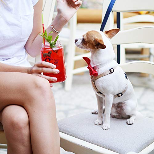 Dog Wine Charms for Stemless Glasses, Set of 6 C945