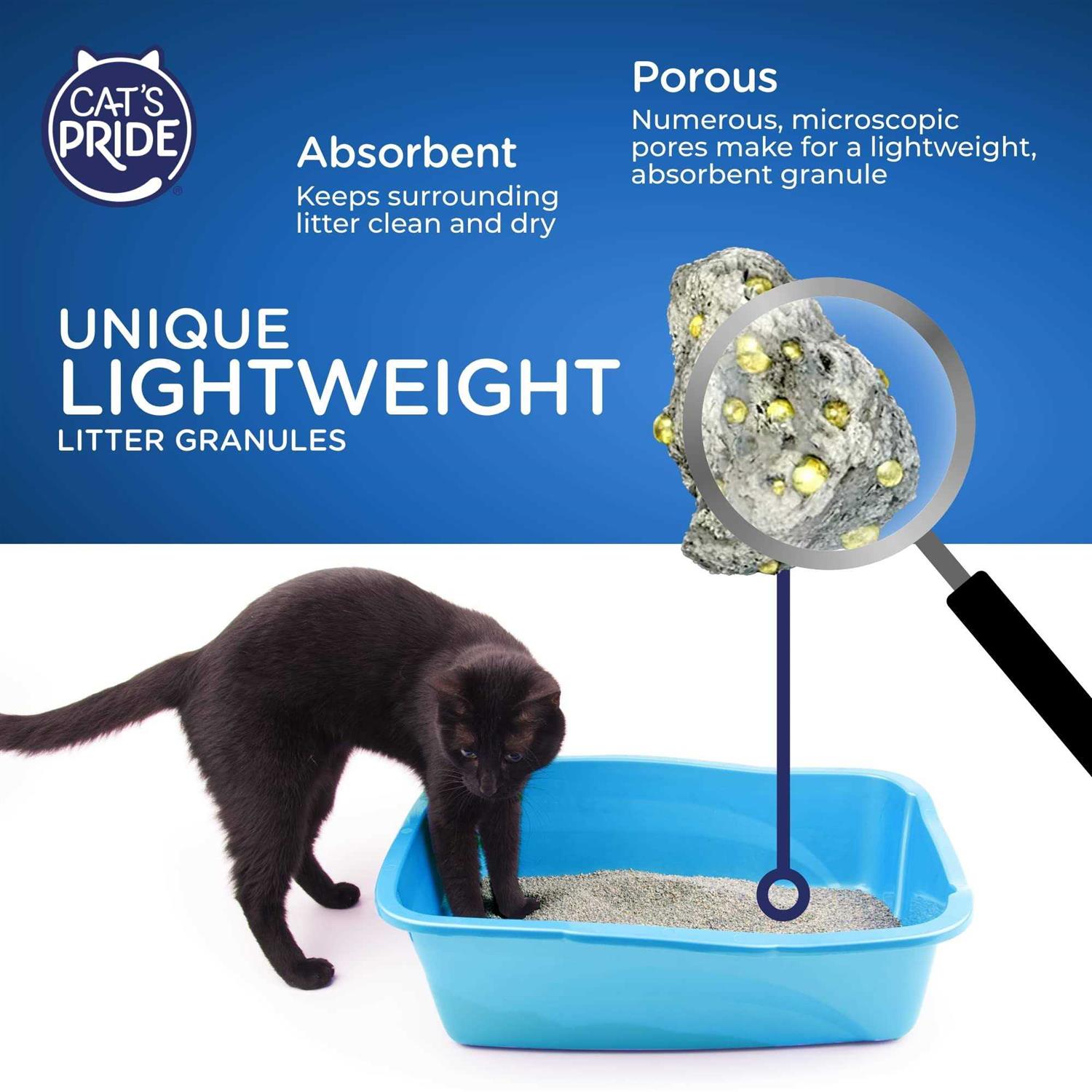 Unscented Multi-Cat Clumping Litter H560557