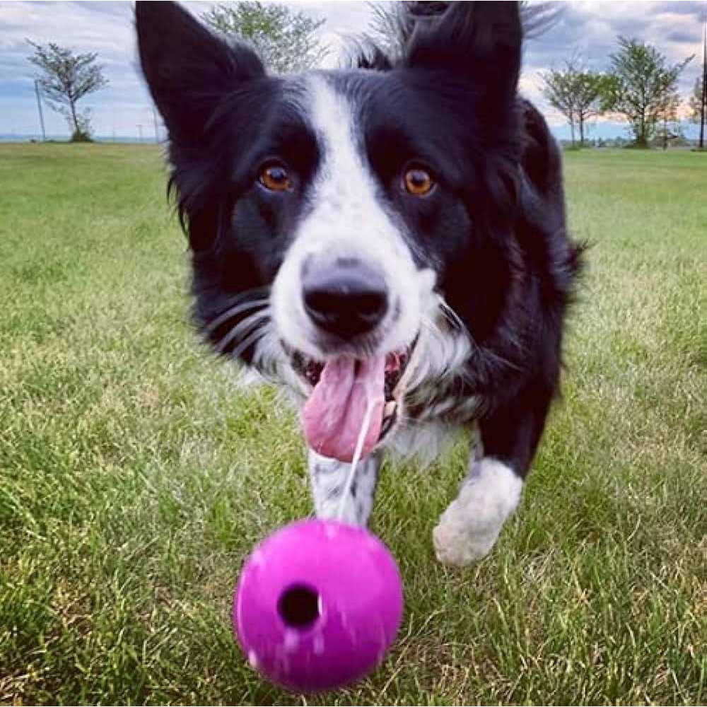 Durable Natural Rubber Fetch Balls for Dogs Z17796