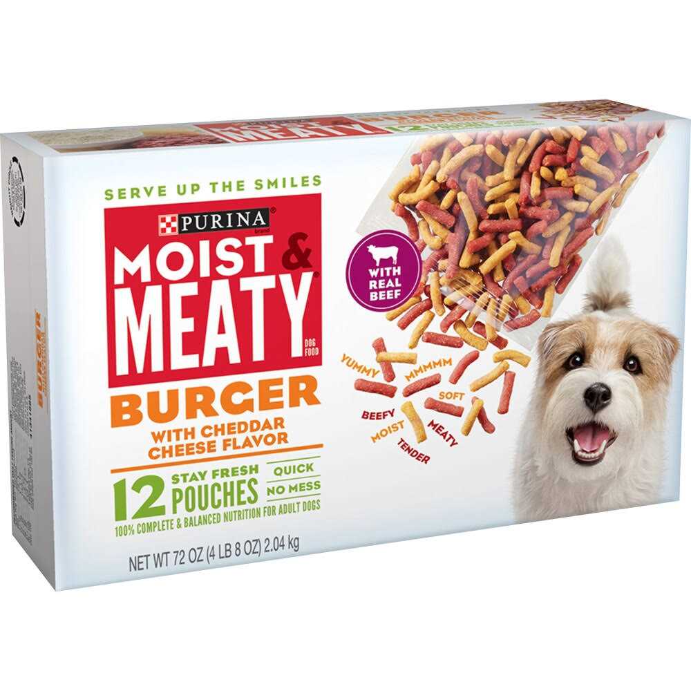Burger with Cheddar Cheese Flavor Dry Dog Food Q967156