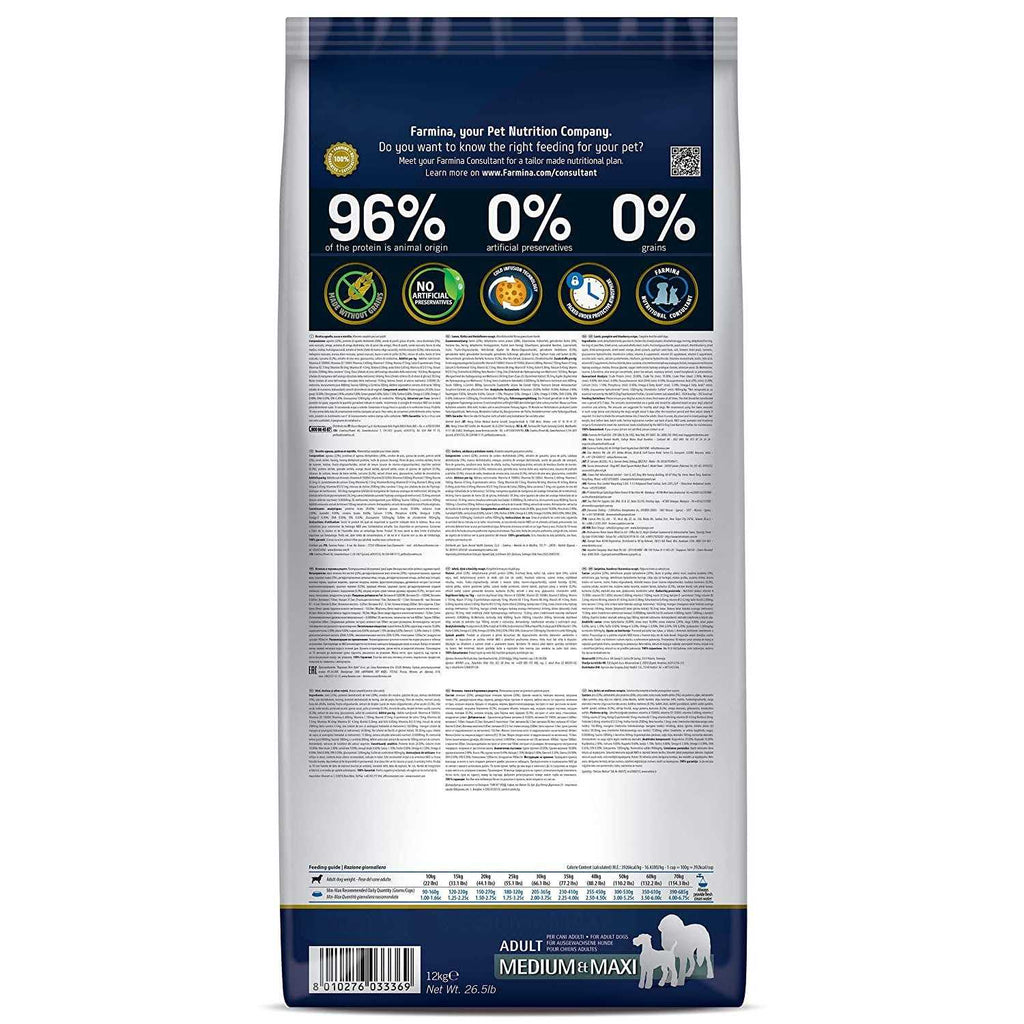 Pumpkin Lamb & Blueberry Mini Dog Dry Food J45559