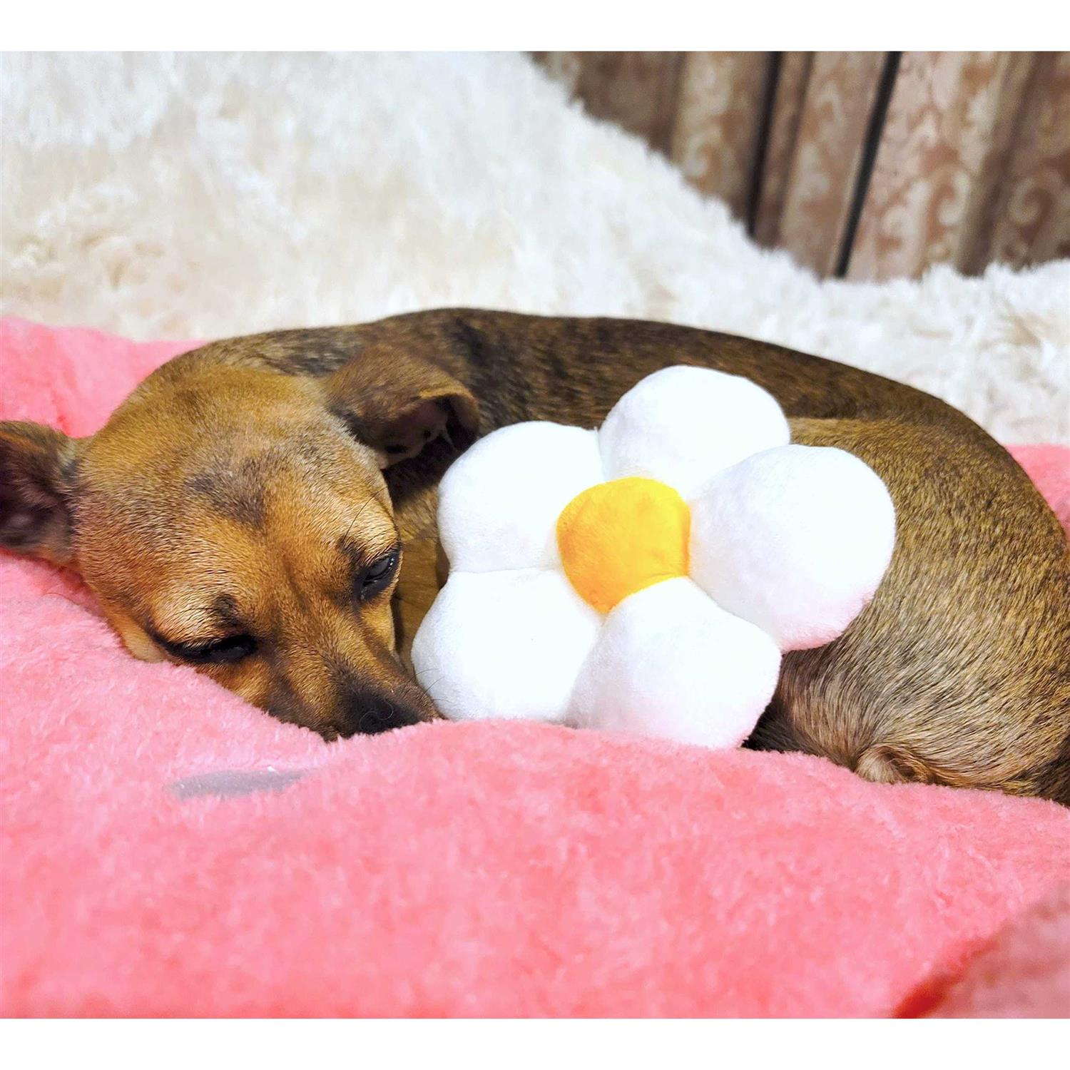 Soft Plush Small Cozy Dog Cat Bed, Washer and Dryer Friendly M6336