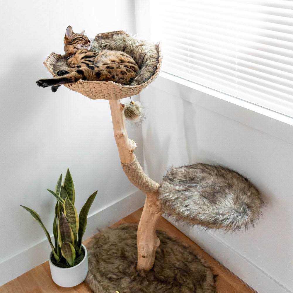 Cat Tree H355483