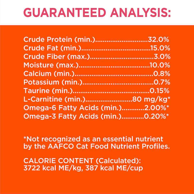 Salmon Adult Dry Cat Food F499640