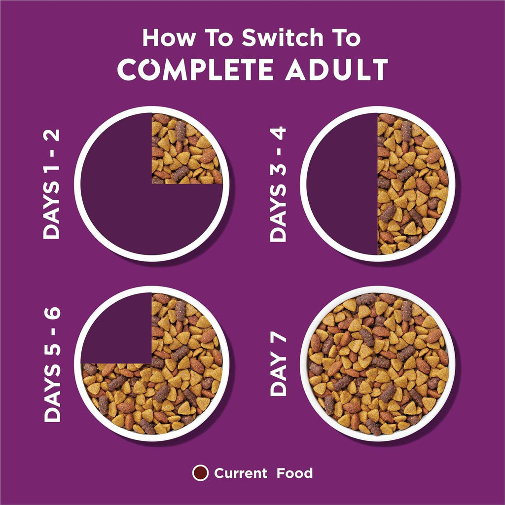 Adult Dry Dog Food B245