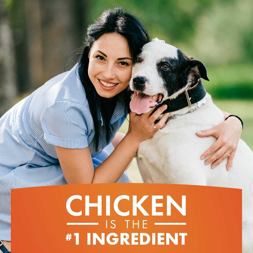 Chicken Jerky Dog Treats X310