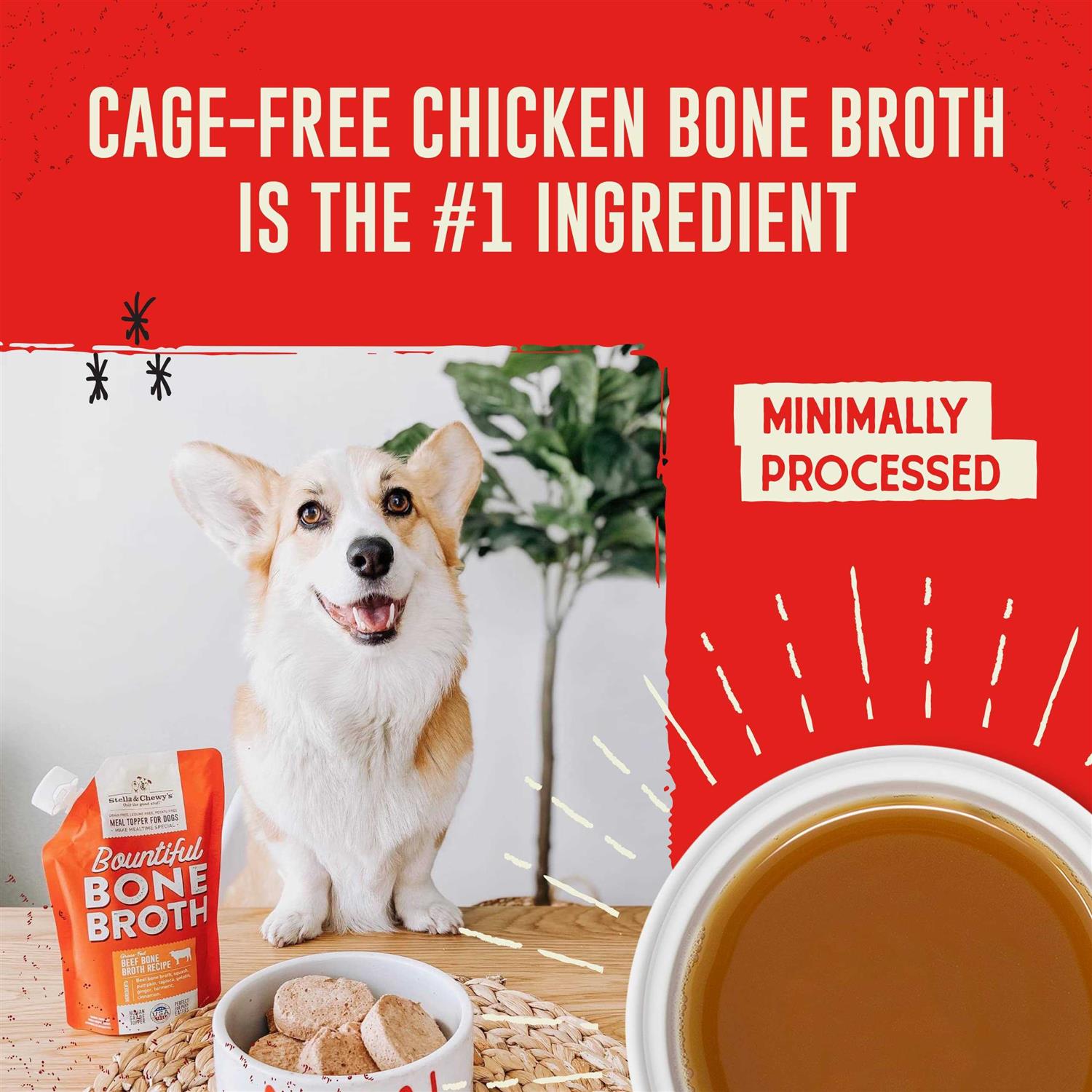 Beef Bone Broth for Pets R361