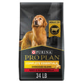 Purina Dog Chow Complete Beef Adult Dry Dog Food - Pet Supplies online store