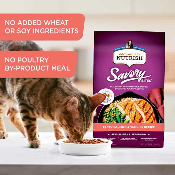 Savory Bites Dry Cat Food A9931