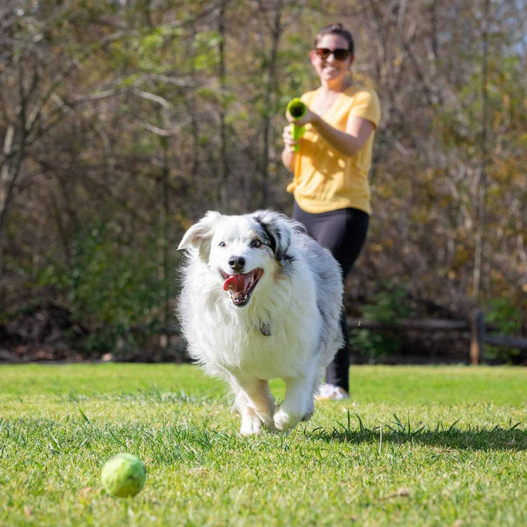 Dog Ball Launcher for Outdoor Play C26978