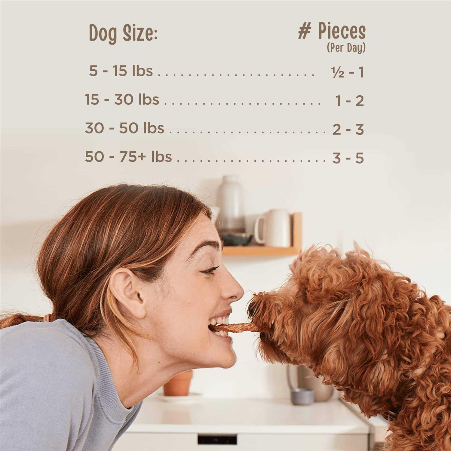 Beef Jerky Tenders Dog Treats Y871