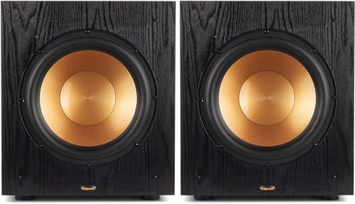 10" Front-Firing Subwoofer with 150W Amplifier for Home Theater Bass E280