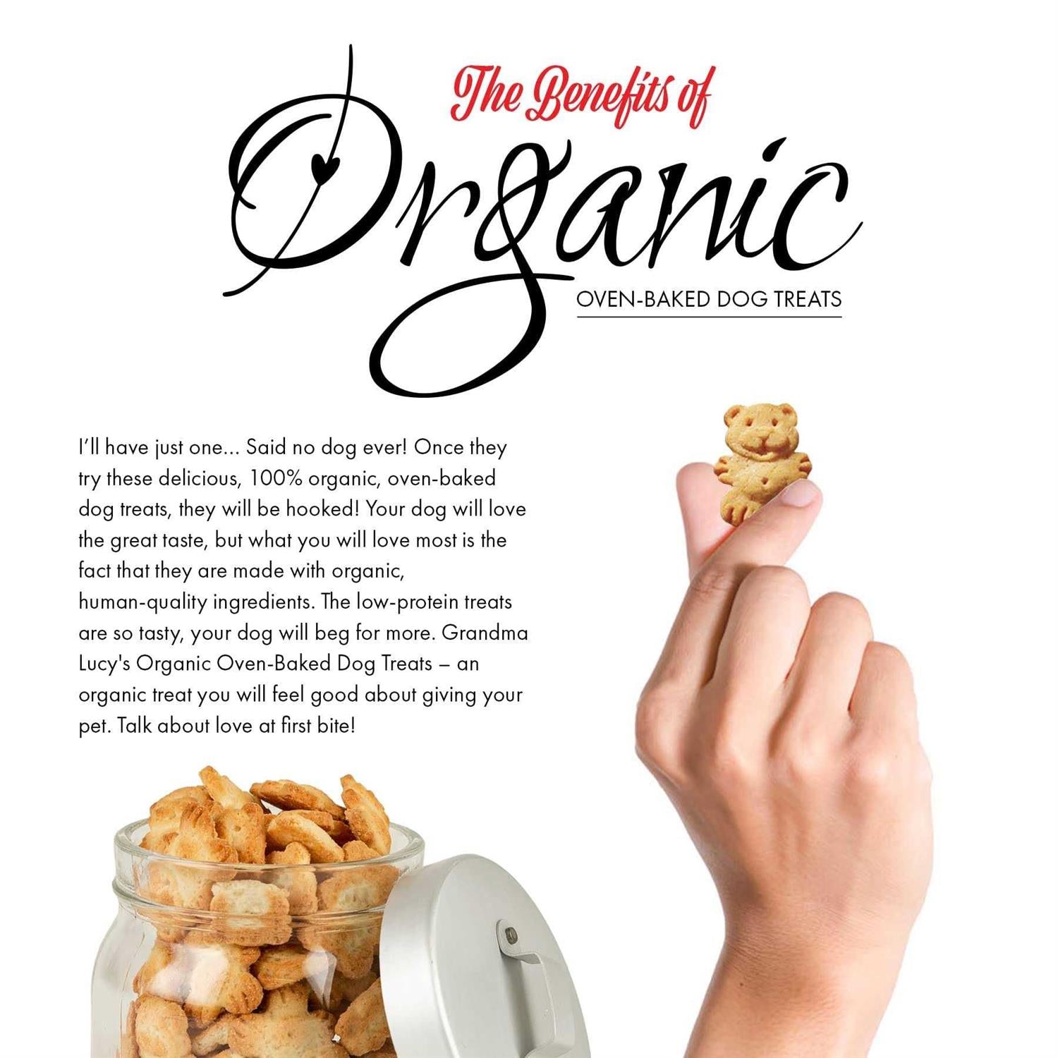 Organic Banana & Sweet Potato Oven Baked Dog Treats T630