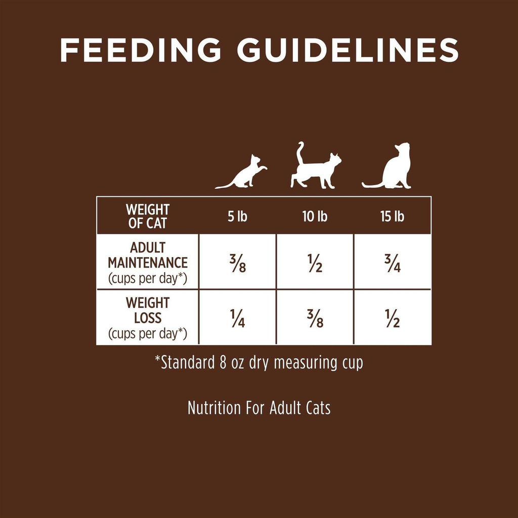 Grain-Free Dry Cat Food with Real Rabbit M1103