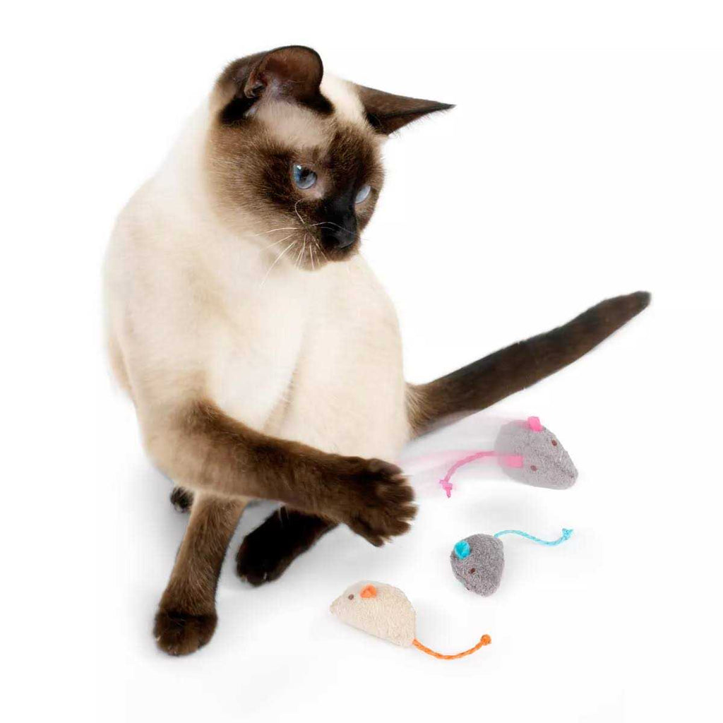 Catnip Toys for Cats Q56105