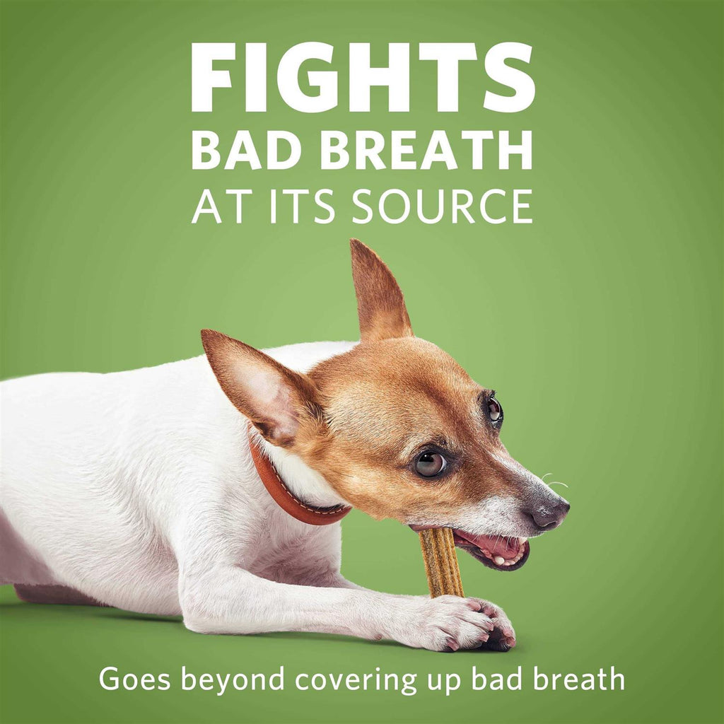 Daily Oral Care Mini Dog Chews L970345