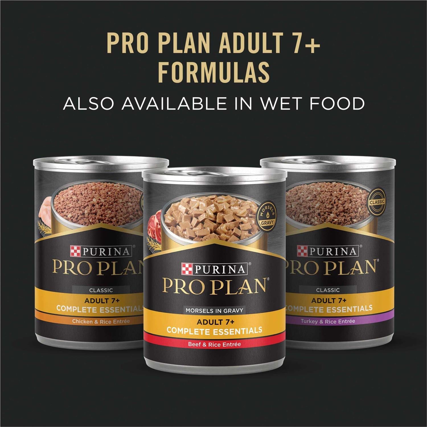 Adult Dry Dog Food, Beef Flavor U633