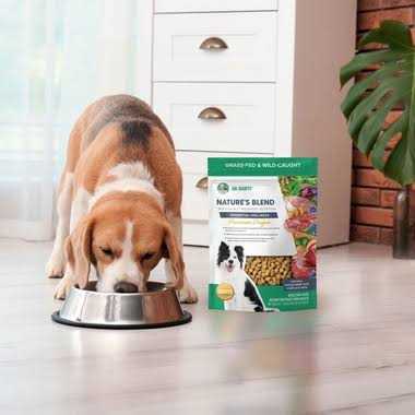 Freeze-Dried Dog Food B90027