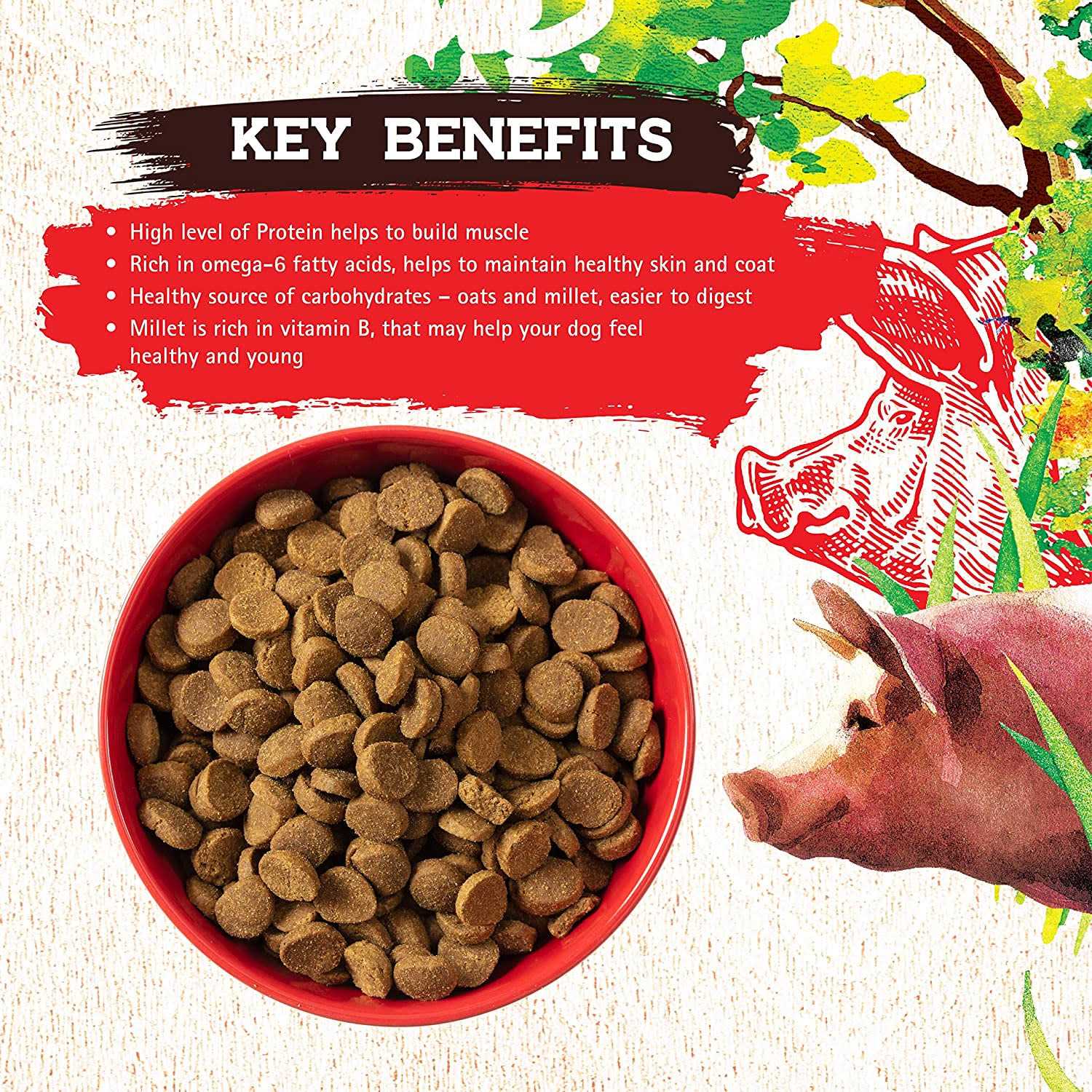 Pork Recipe Dog Food E84071
