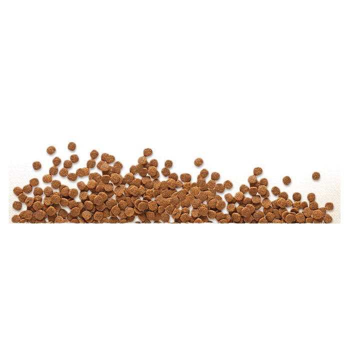 Grain Free Dry Dog Food with Chicken Meal and Chickpeas R387
