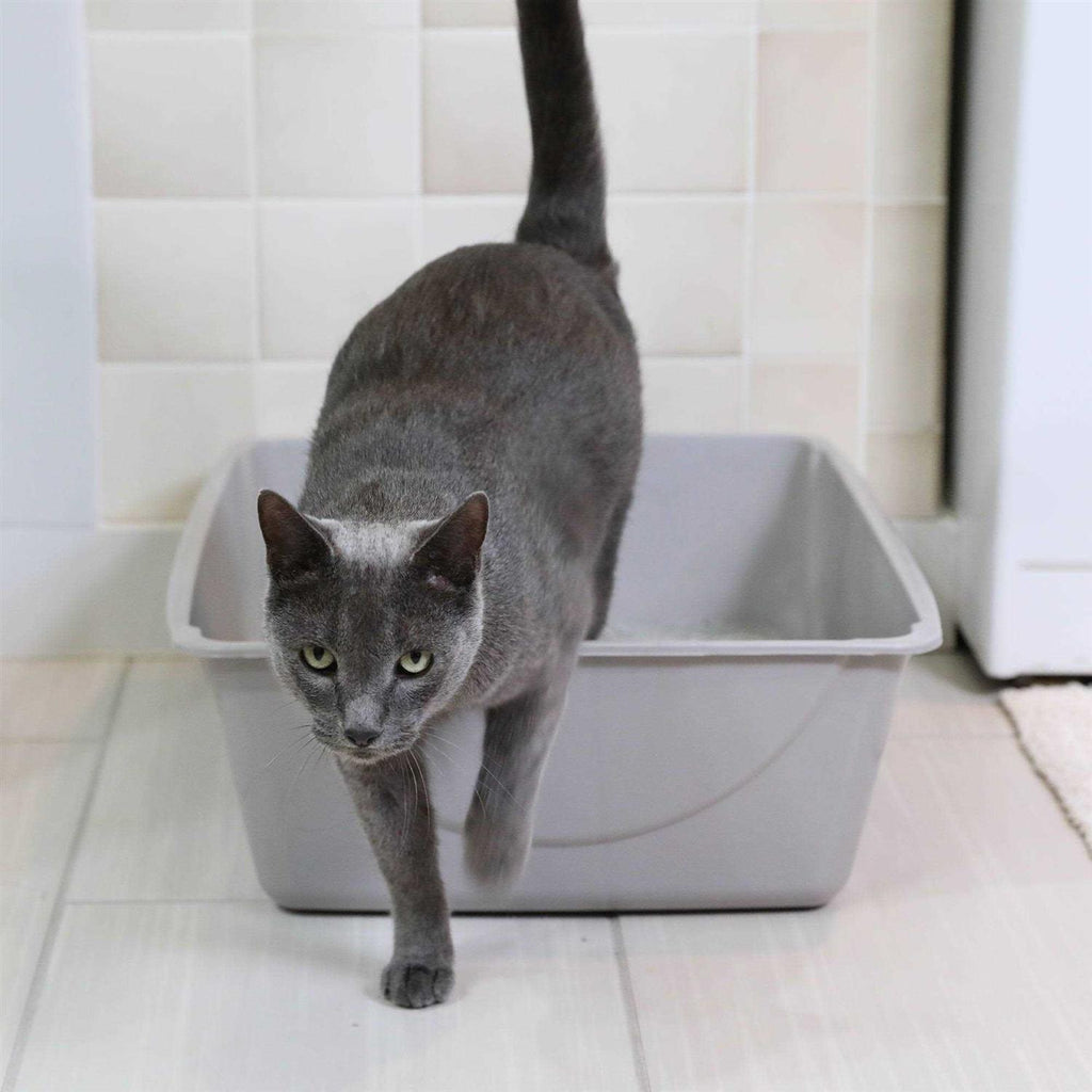 Litter Pan C39580
