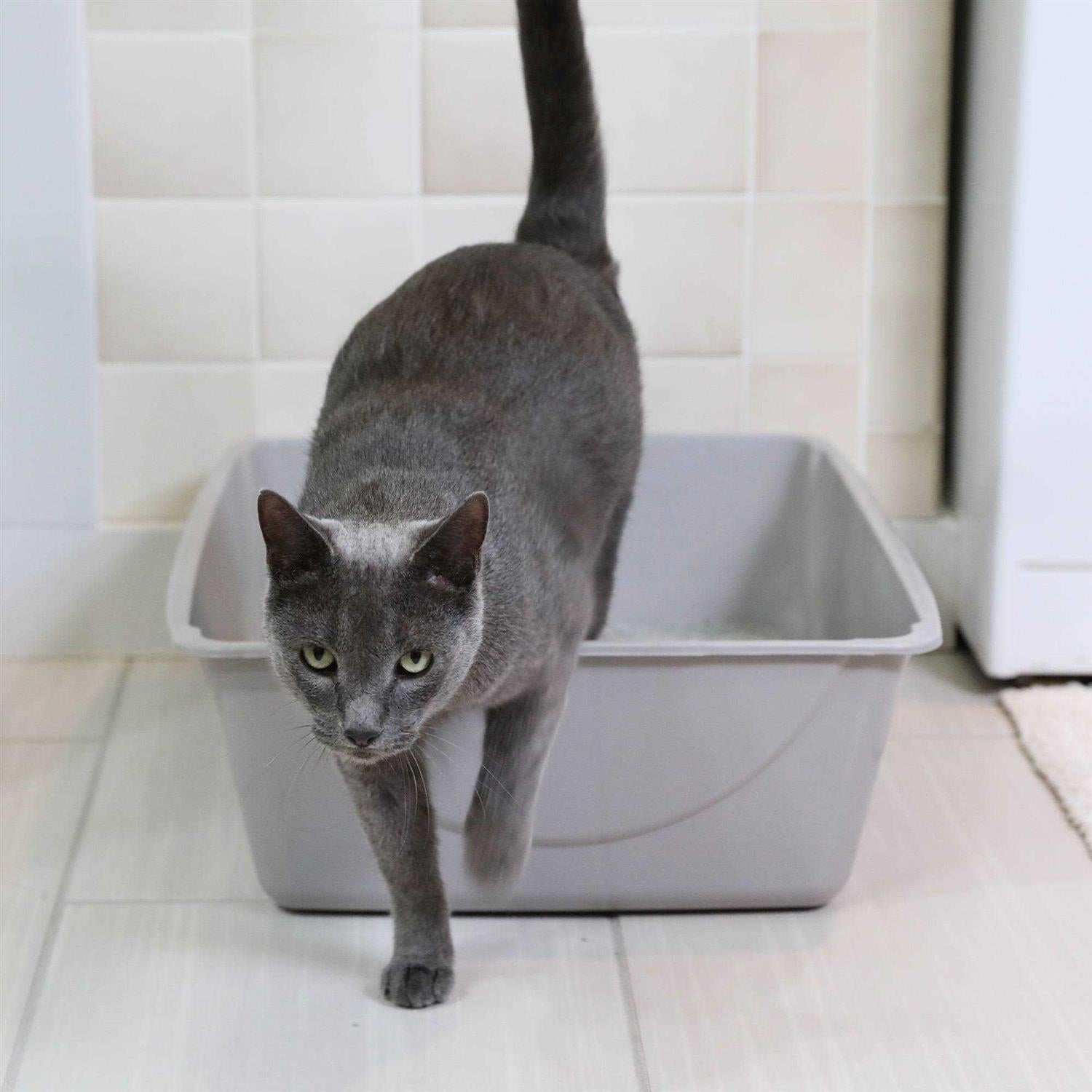 Litter Pan C39580