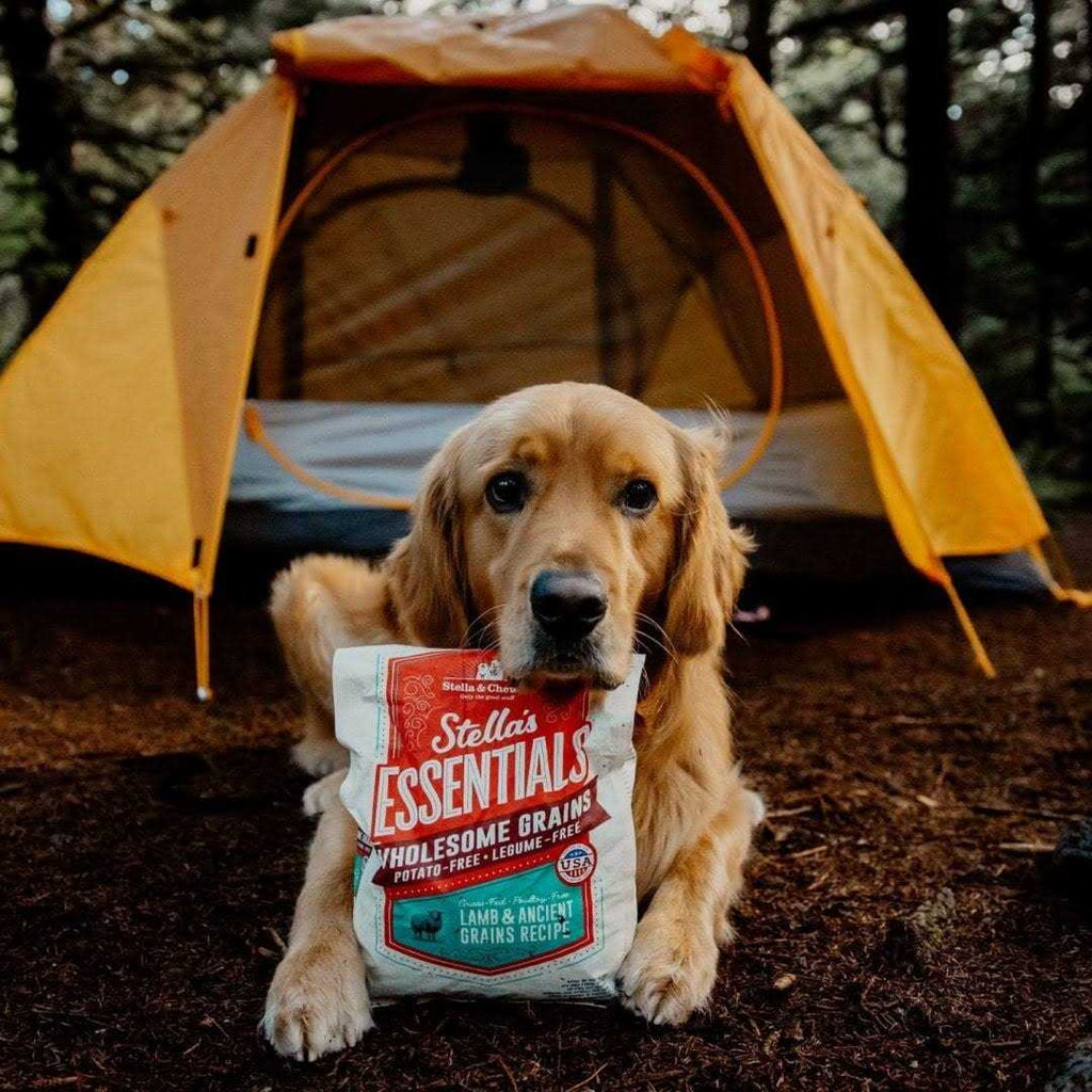 Ancient Grains Recipe Dog Food B91760