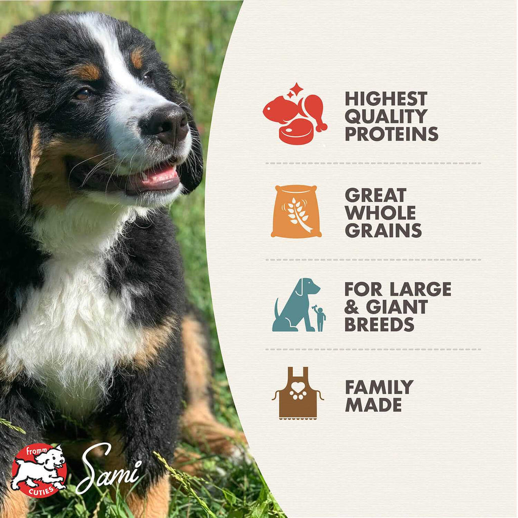 Large Breed Puppy Dry Dog Food E156