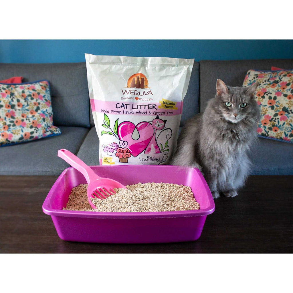 Green Tea Hinoki Wood Cat Litter J533829