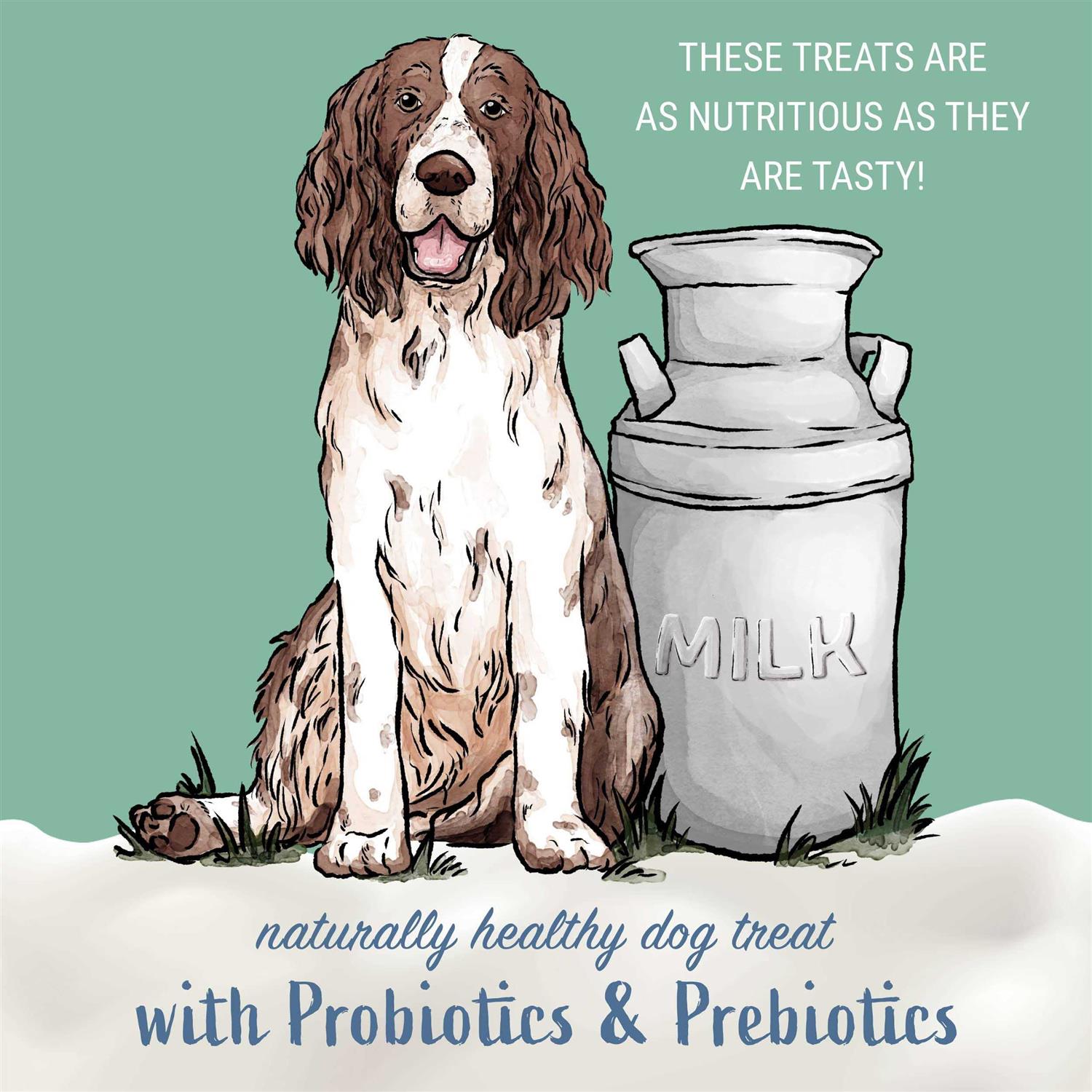 Plain Yogurt Sticks for Dogs G521