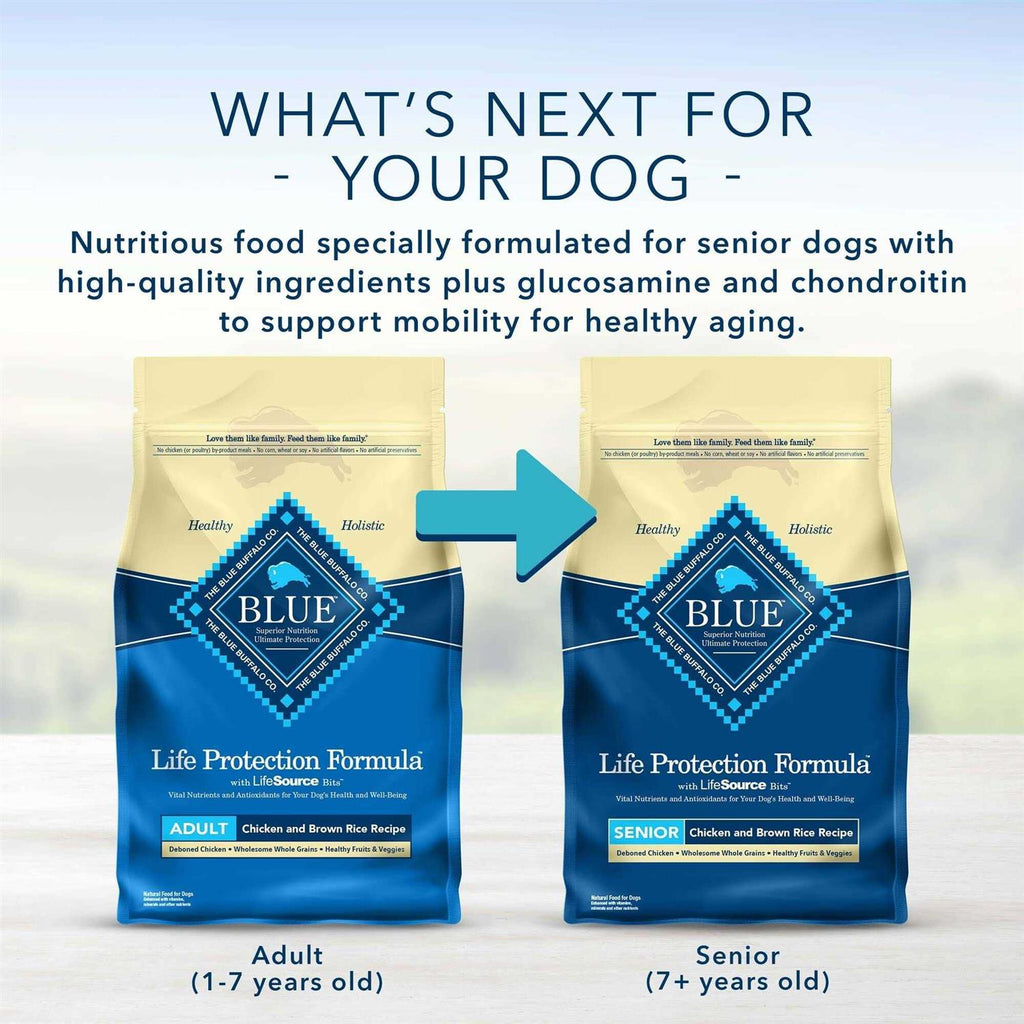 Adult Dry Dog Food Chicken and Brown Rice S58442